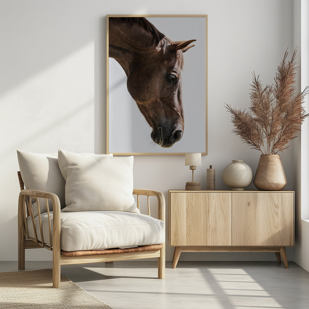 Portret van een paardenkop | Poster