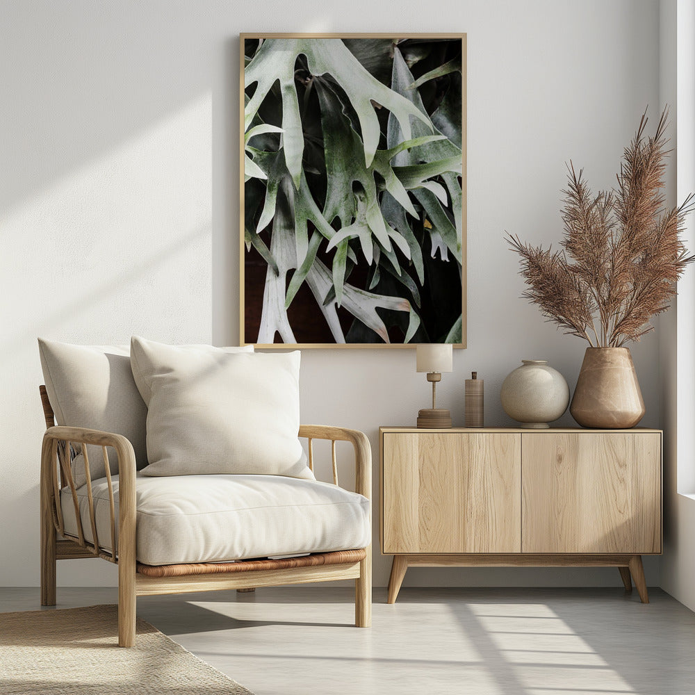 Betoverde bladeren | Poster