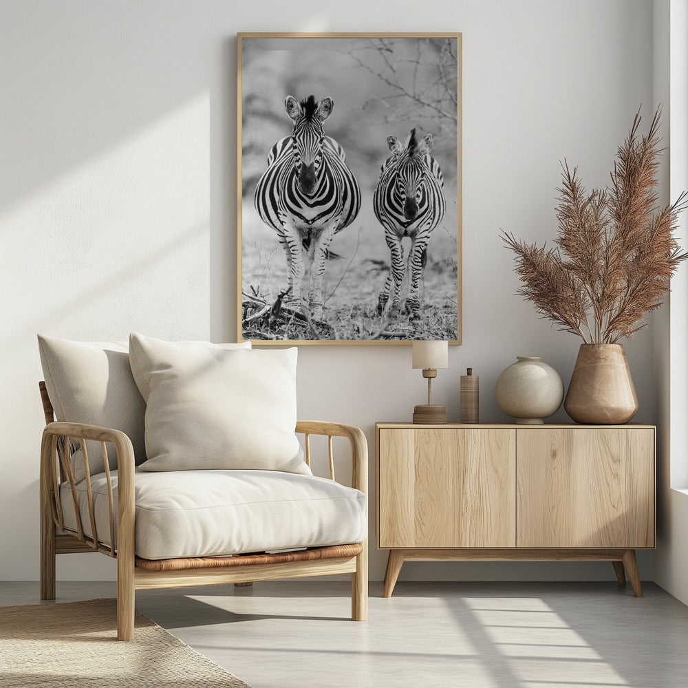 Gestreept paard op de voorkant | Poster