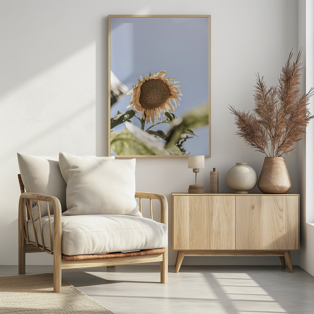 Gouden Bloesemhemel | Poster