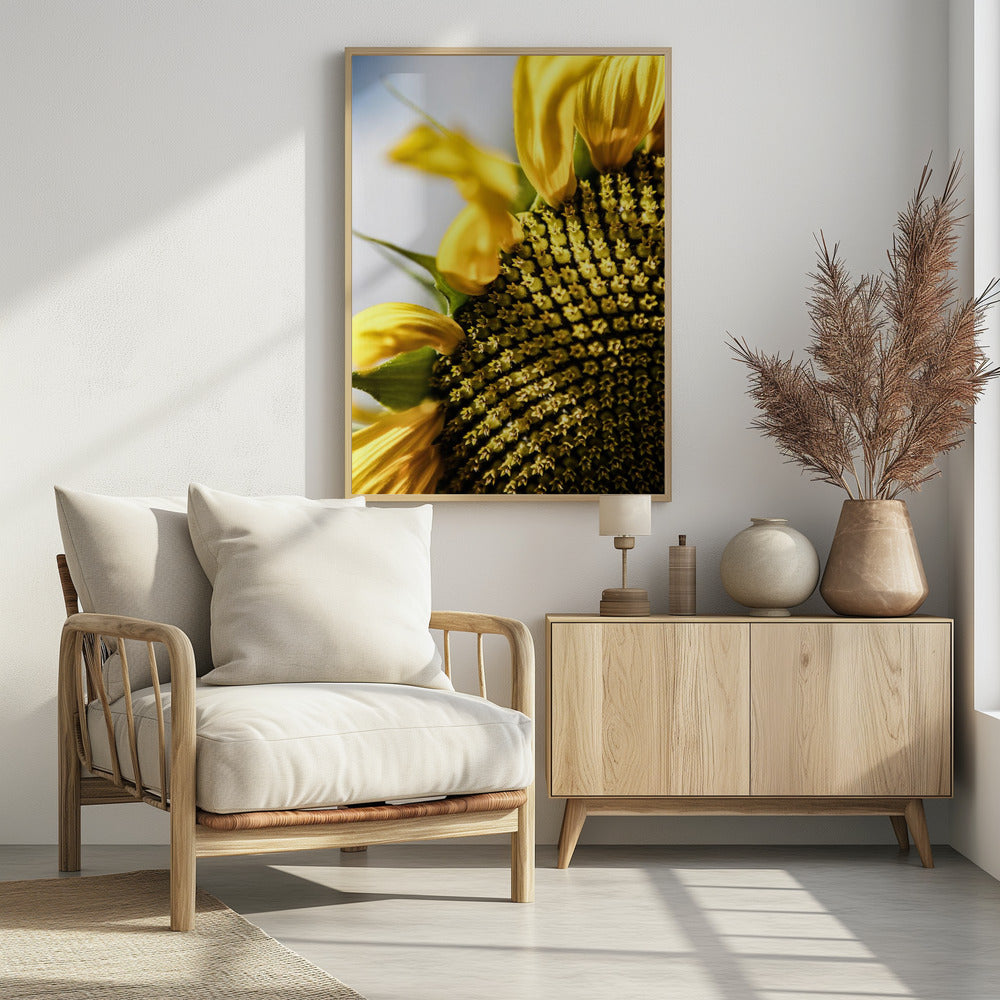 Zonnebloem close-up | Poster