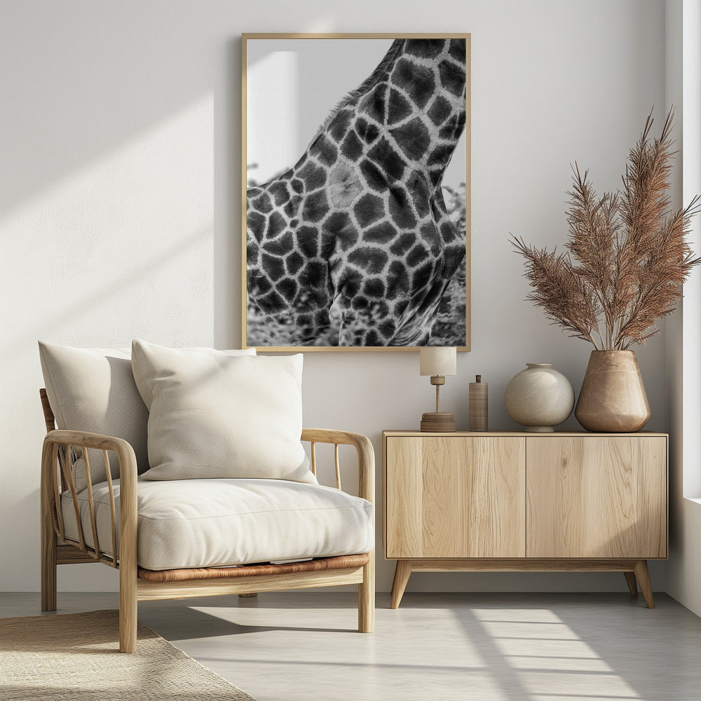 Ingewikkelde patronen van een giraffenhuid | Poster