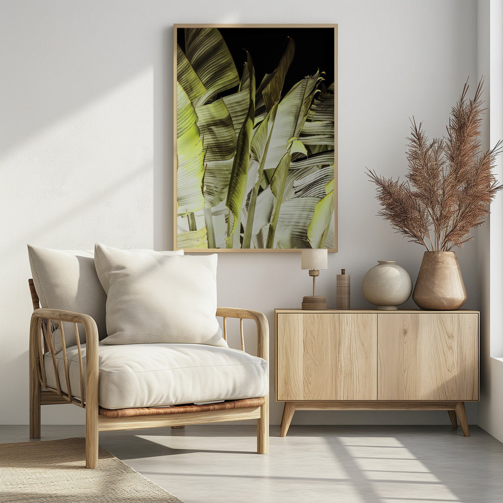 Bananenbladeren in zacht licht | Poster