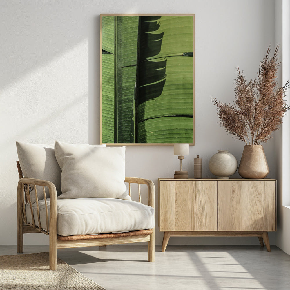 Tropische bananenbladeren | Poster