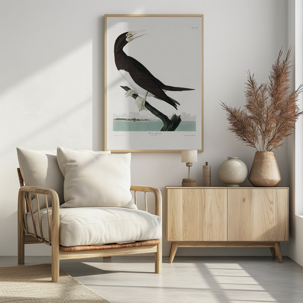 Jan-van-gent uit Birds of America (1827) | Poster