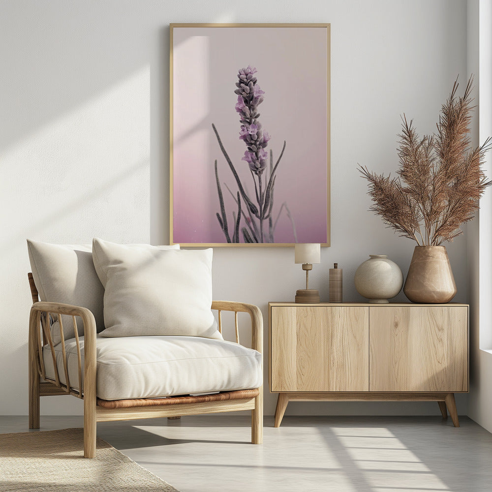 Lavender Dreams | Poster