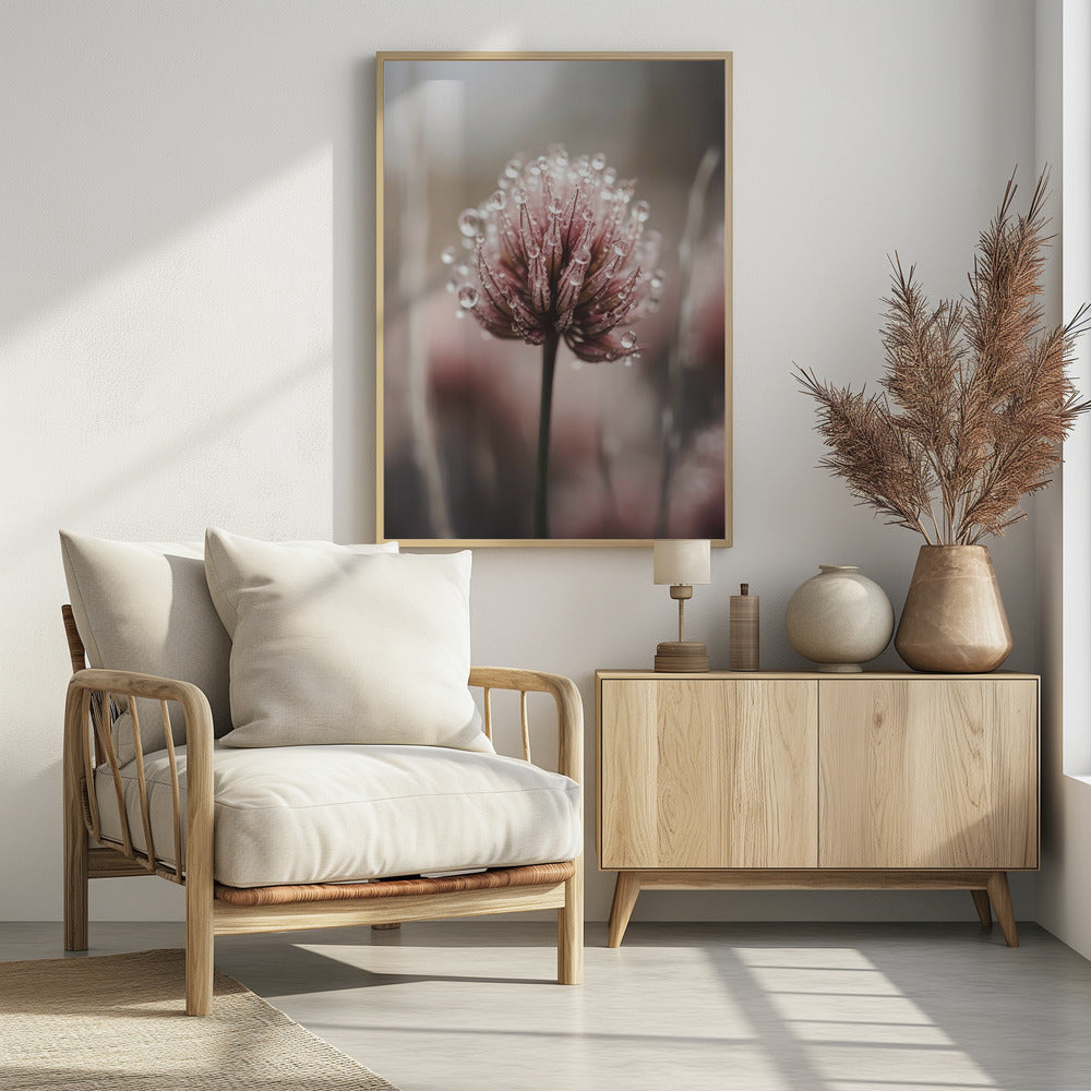 Dauwgekuste bloesem | Poster