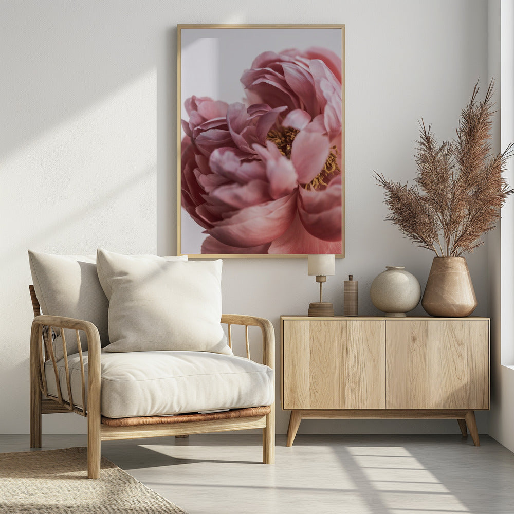 Peony | Poster
