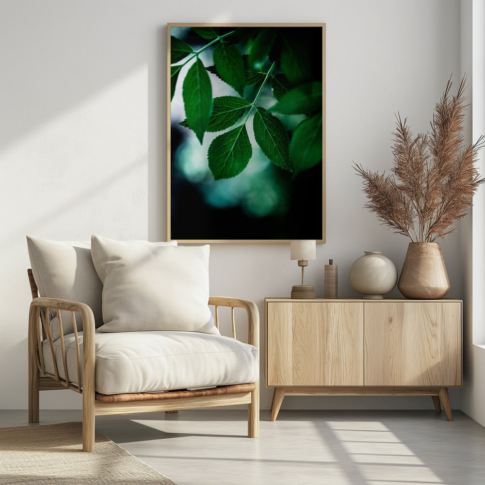 Dark Leaves 14 | Poster