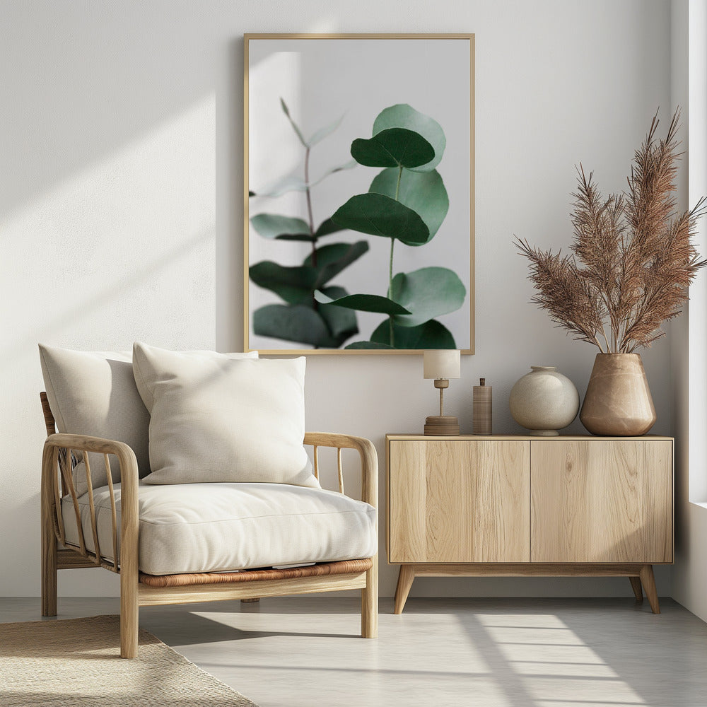 Eucalyptus 5 A1 | Poster