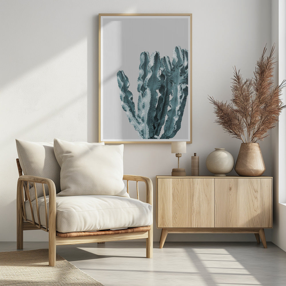 Cactus Elegantie | Poster