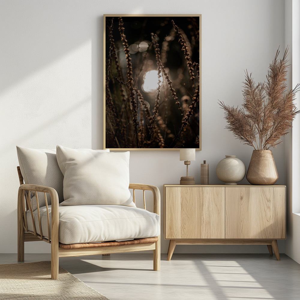 Autumn Lights 2 | Poster