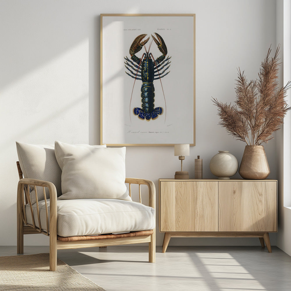 Karmozijnrode rivierkreeft | Poster