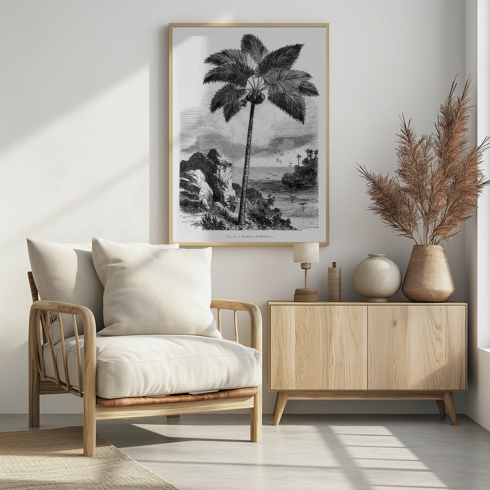 Vintage palmboom tekening I | Poster