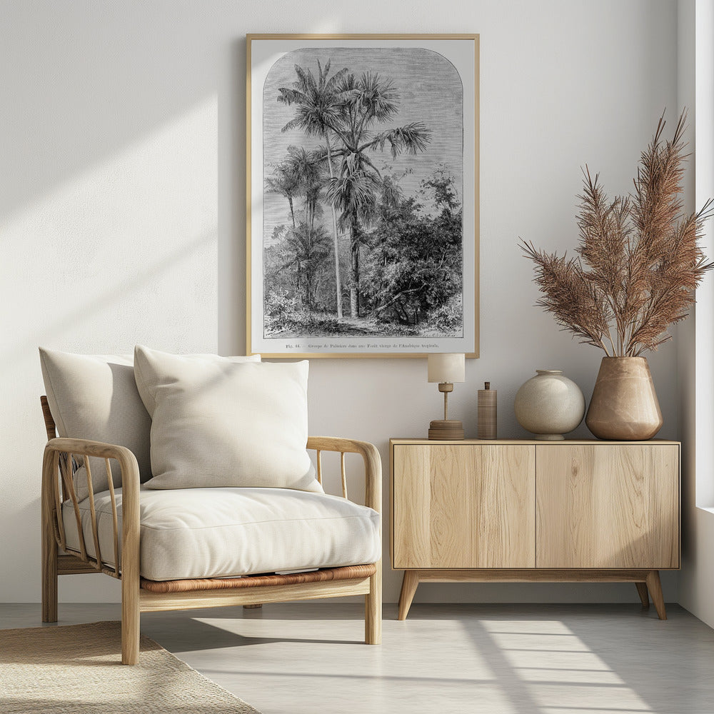Vintage palmboom tekening IV | Poster