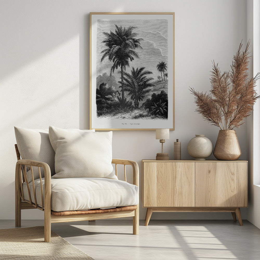 Vintage palmboom tekening V | Poster