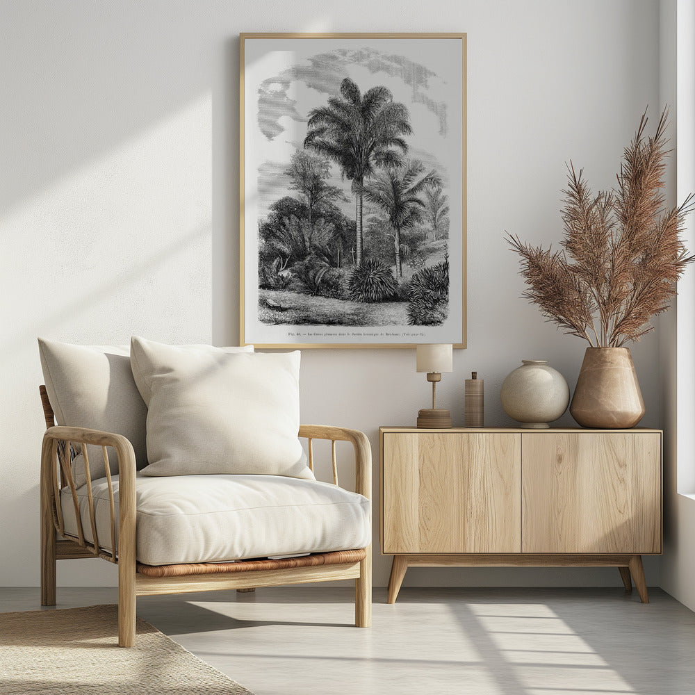 Vintage palmboom tekening VI | Poster