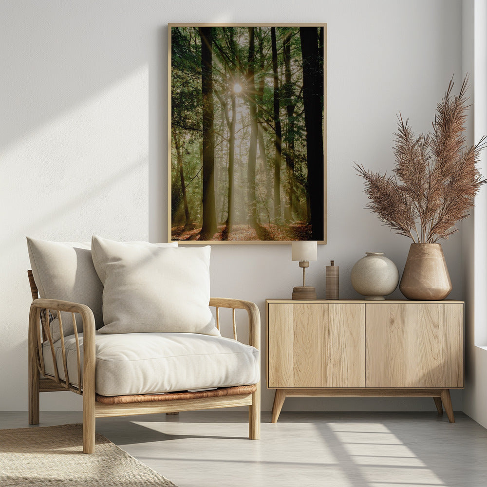 Zonnestralen door het bos | Poster