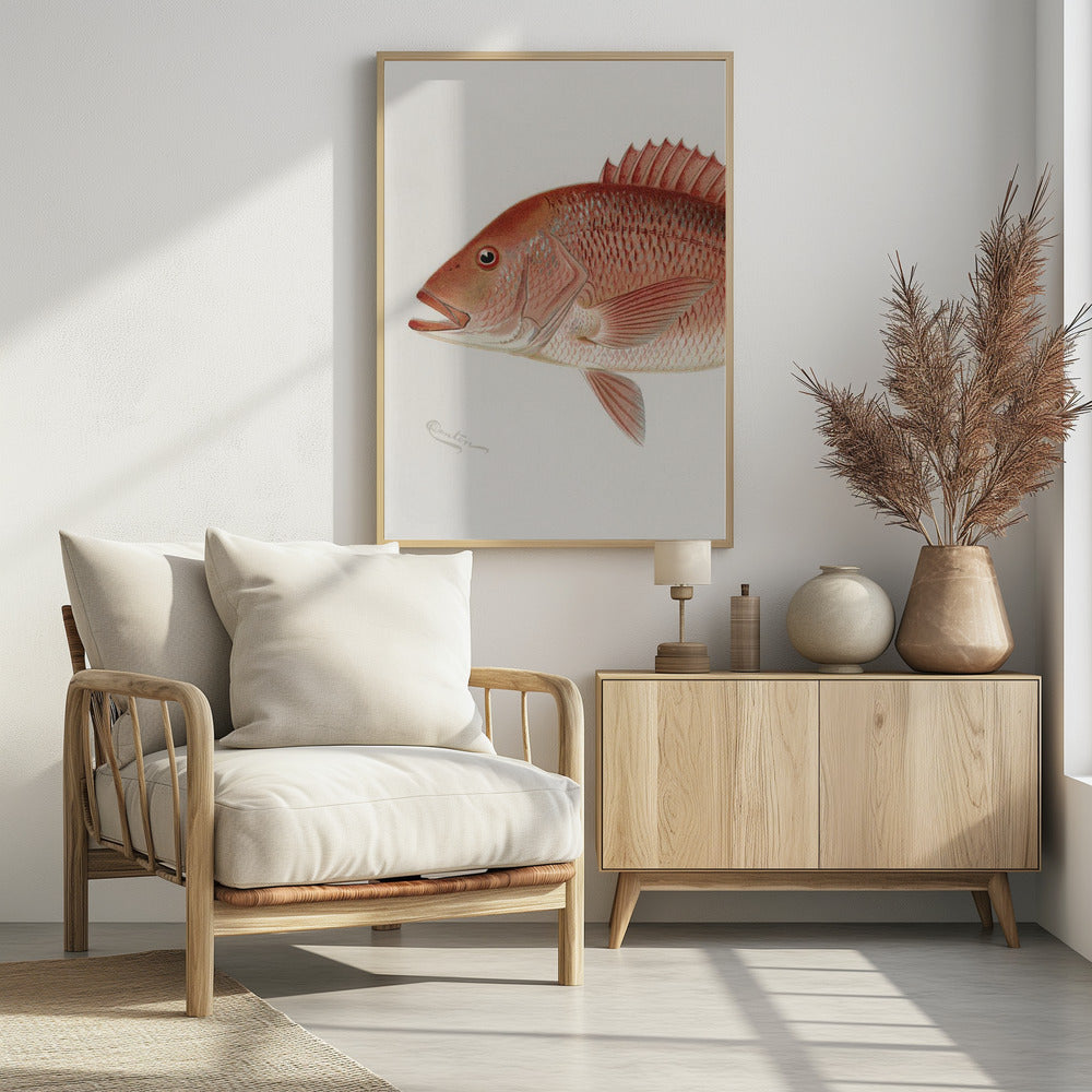 Red Snapper | Poster