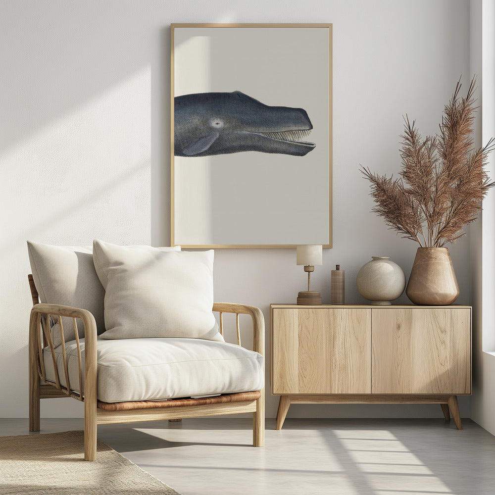 Walvis I Dichte Bijsnijding Handgekleurde Zeeleven Lithografie 1824 | Poster