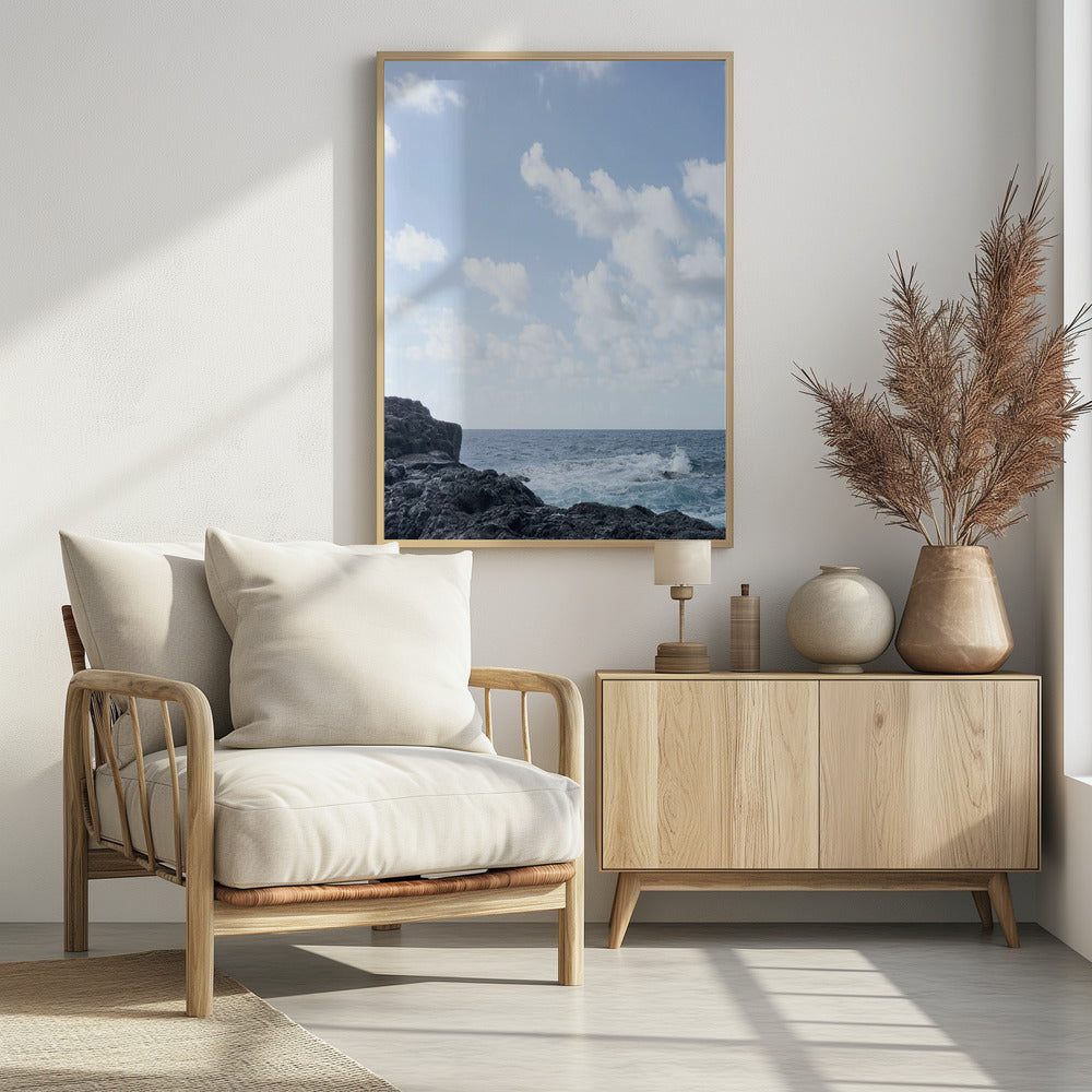 Kustleven I | Poster