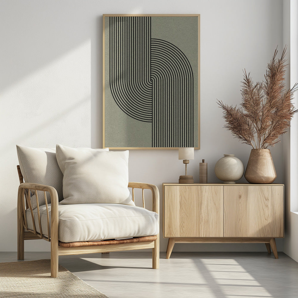 Curved Symmetry | Poster