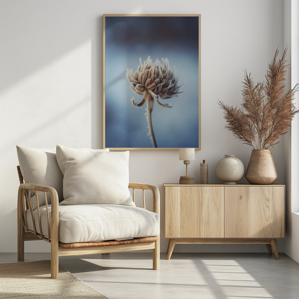 Frosted Blossom | Poster