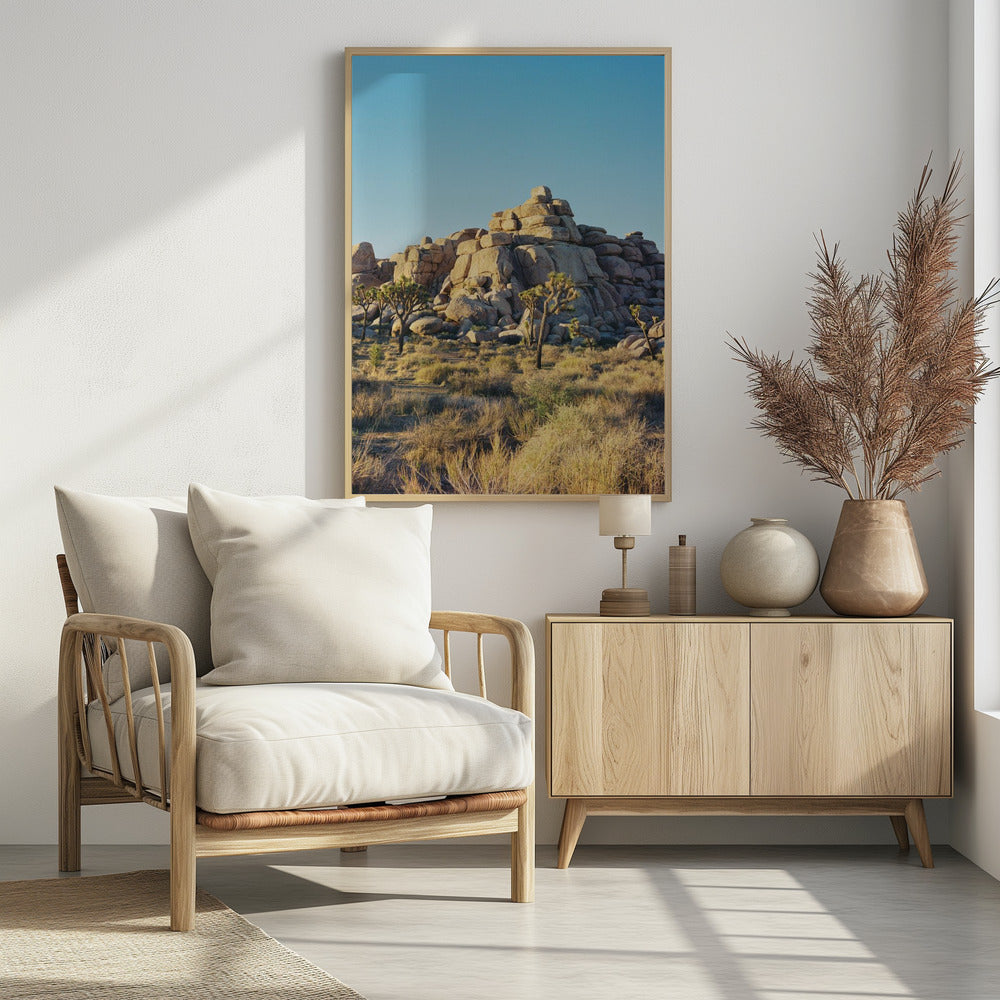 Zonsondergang in Joshua Tree | Poster