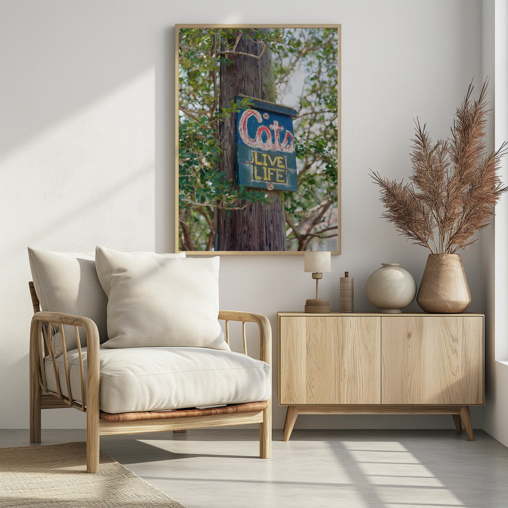 Katten uit New Orleans | Poster