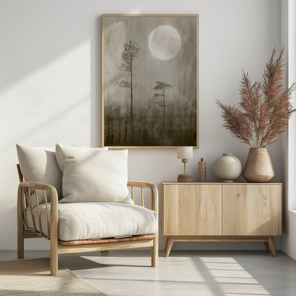 Moonlight Moor | Poster