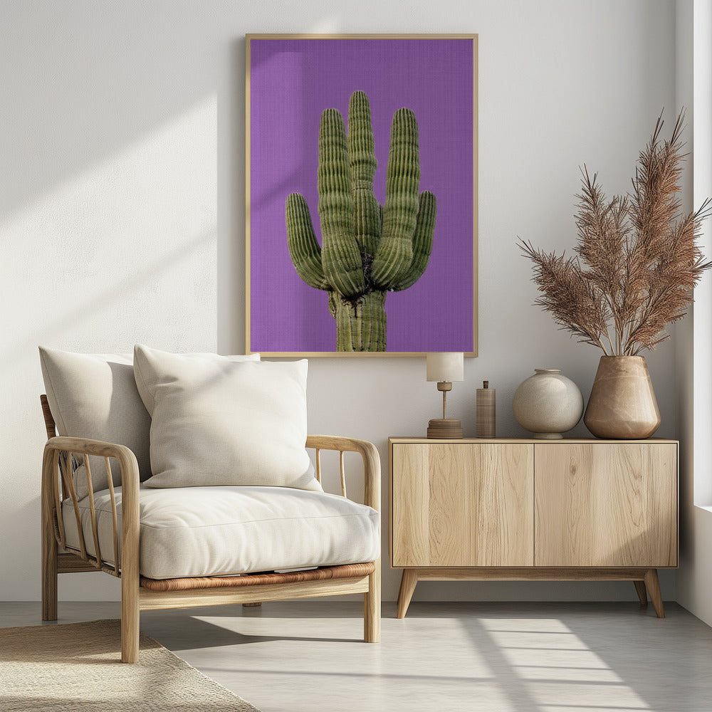 Paarse Cactus | Poster