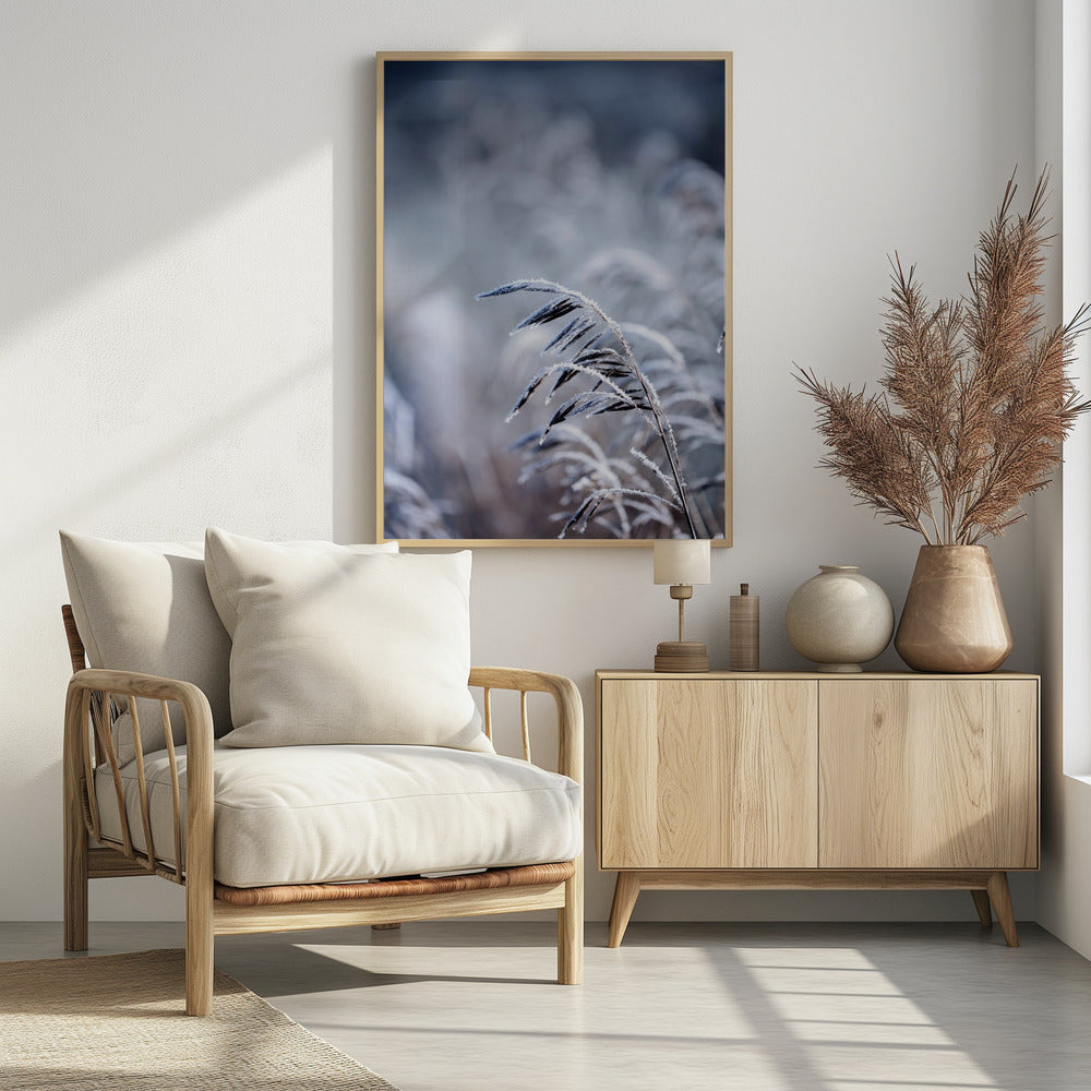 Frosty Morning 5 | Poster