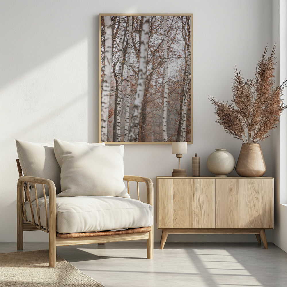 Birch Trees 6 | Poster