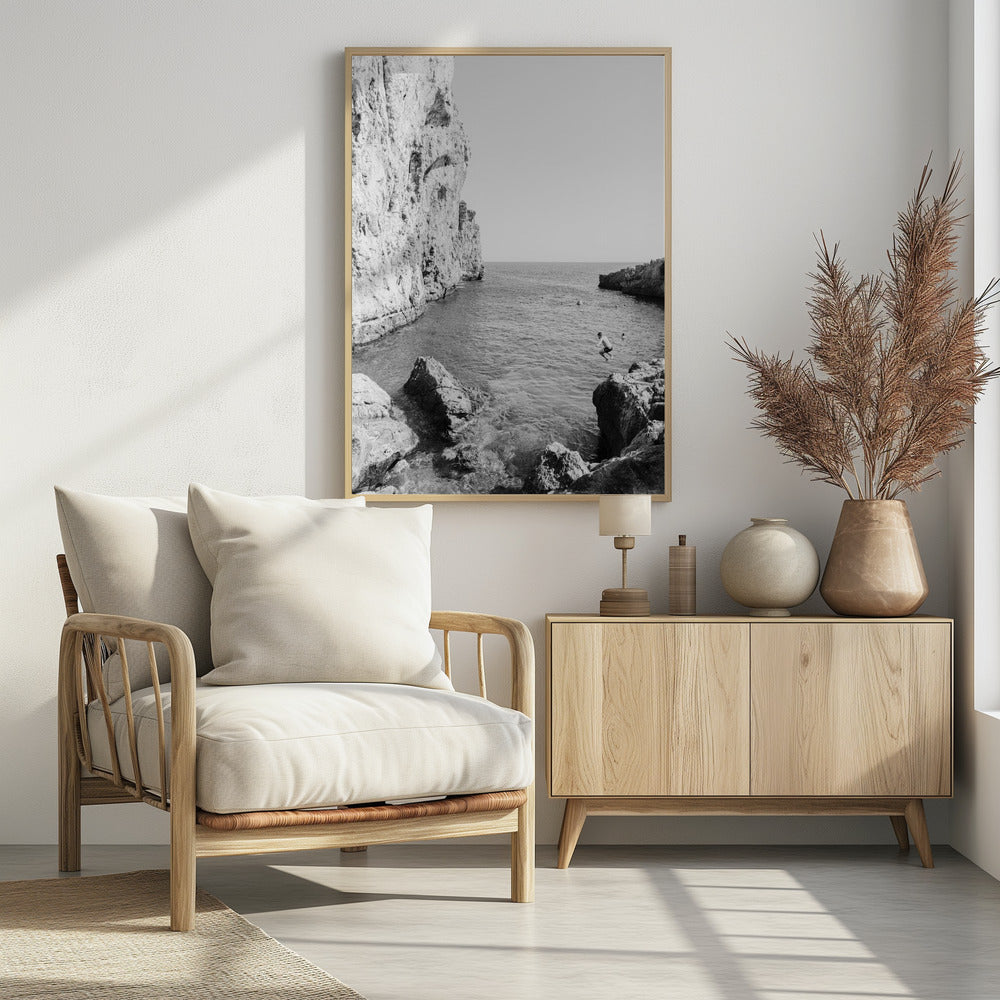 De Duik | Poster