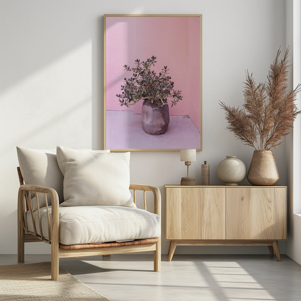 Spaanse rustieke succulent | Poster