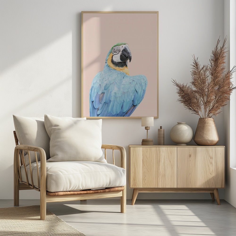 Blauwe Ara | Poster