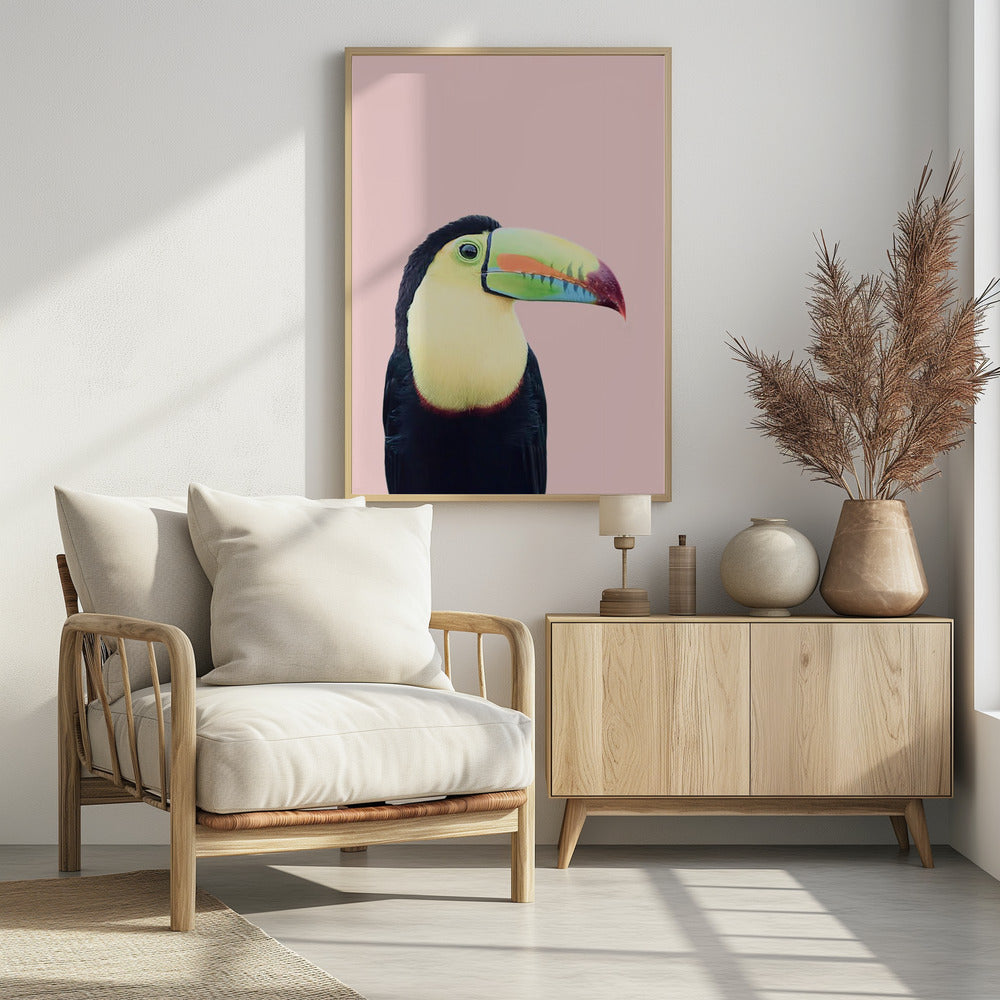 Toekan op roze | Poster