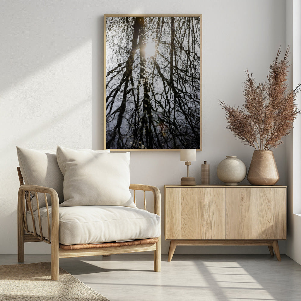 Winter Reflections 4 | Poster