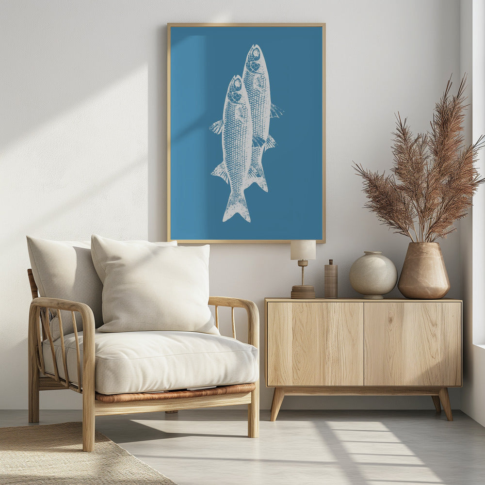 Vissen | Poster