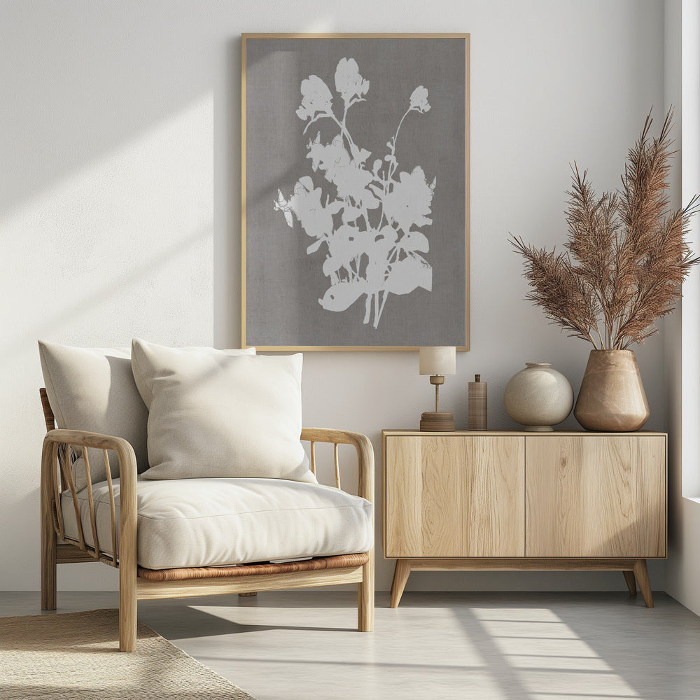 Botanical Illustration 3 | Poster