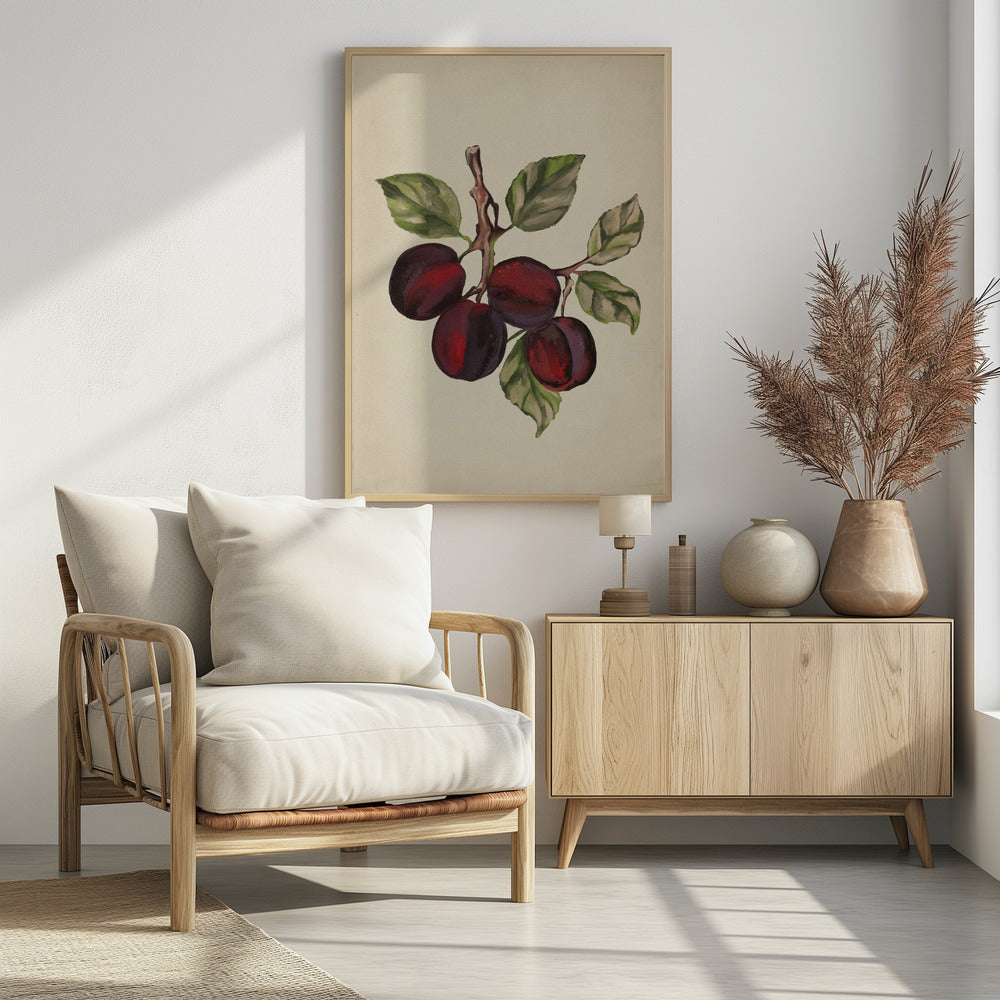 Vintage fruitcollectie | Poster