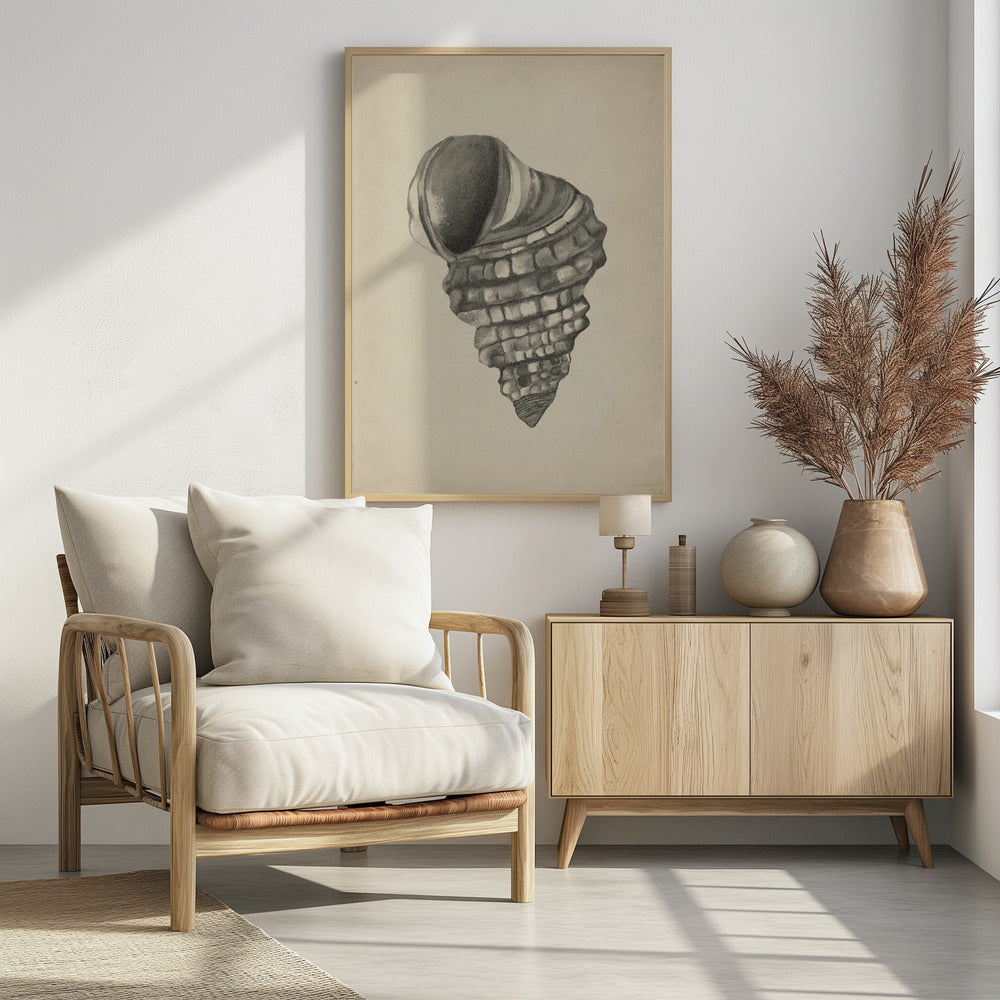 Schelpen | Poster