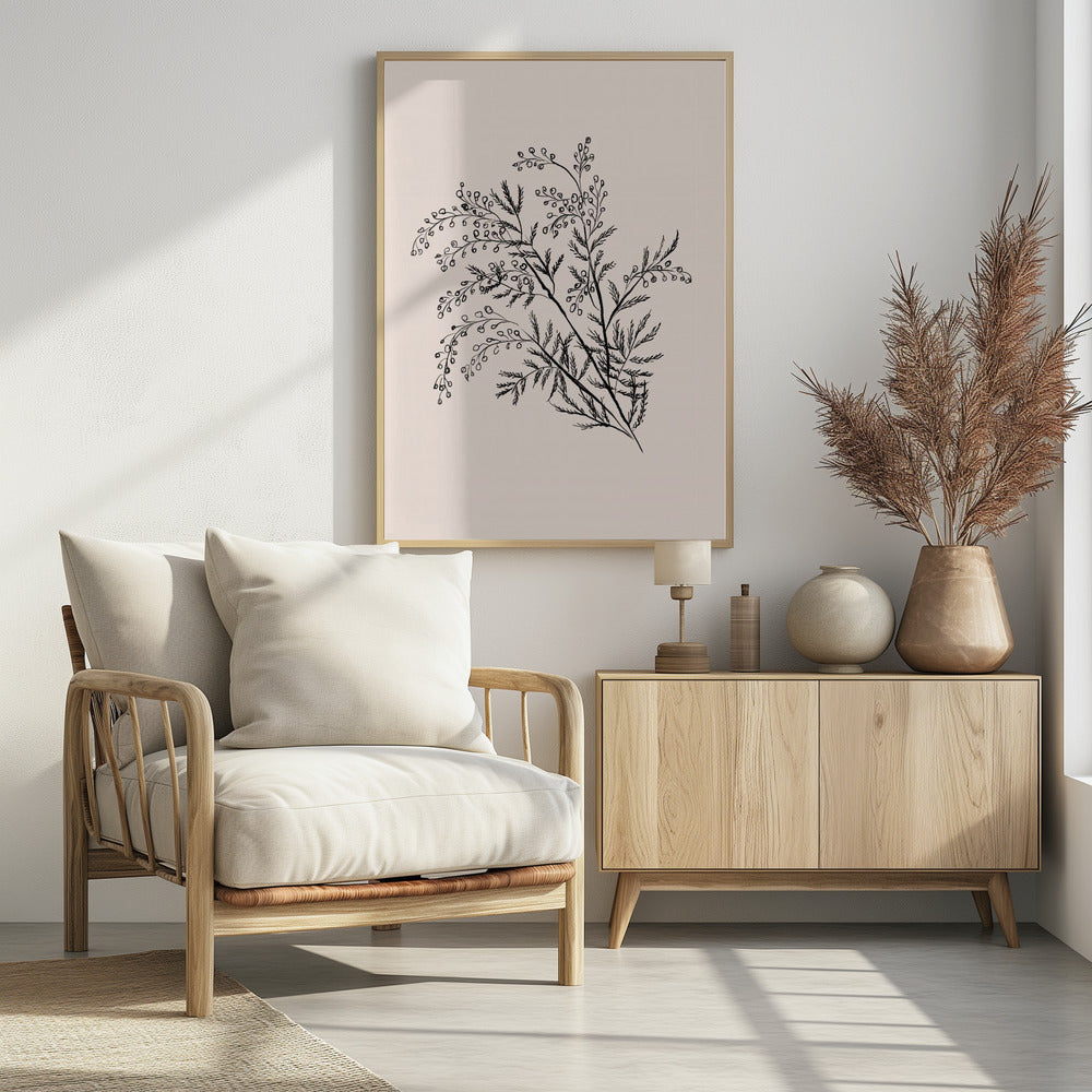 Acacia Botanische Afdeling | Poster