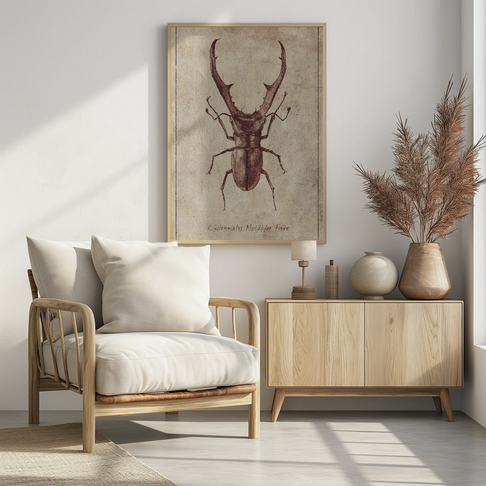 Antieke Kever Illustratie | Poster