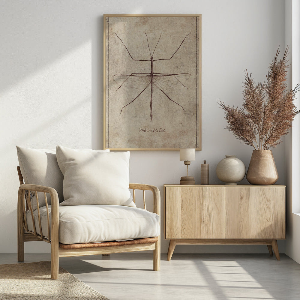Vintage entomologieschets | Poster
