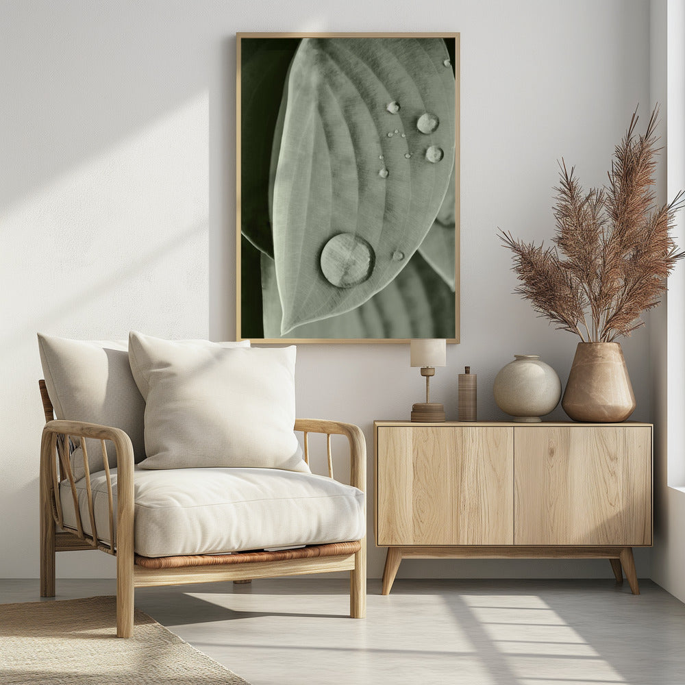 Dauw op blad elegantie | Poster