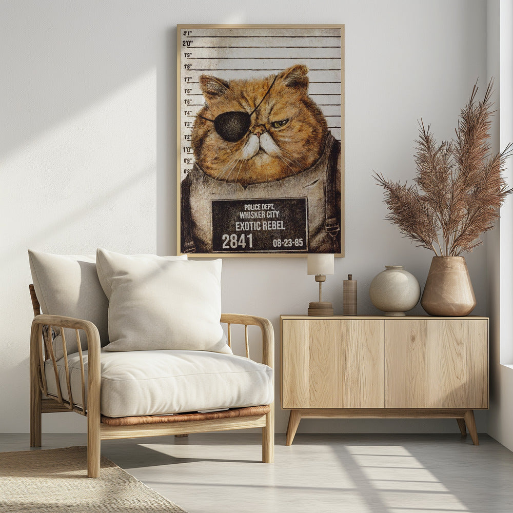 Grappige kat | Poster