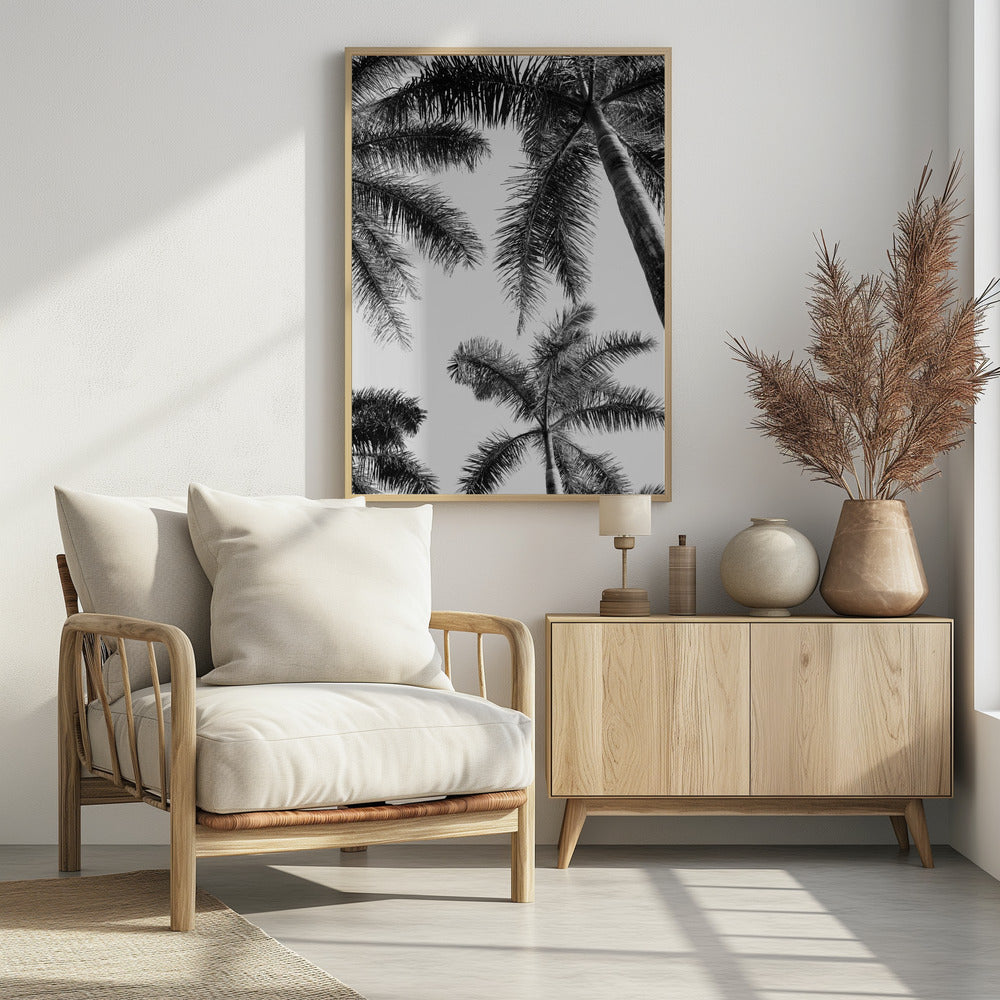 Zwart-witte palmboom | Poster