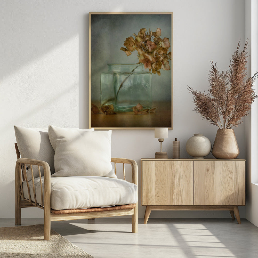 Hydrangea | Poster
