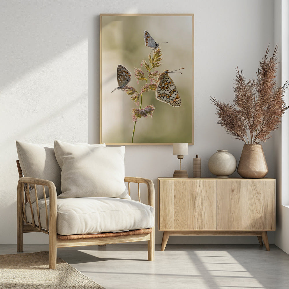 Een soort smeltkroes | Poster